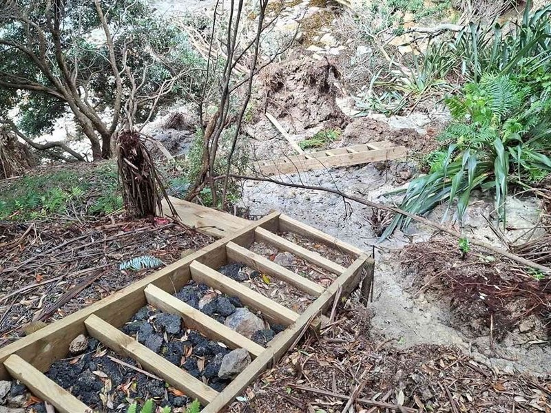 DOC, Hahei group explore restoration of Cathedral Cove walk