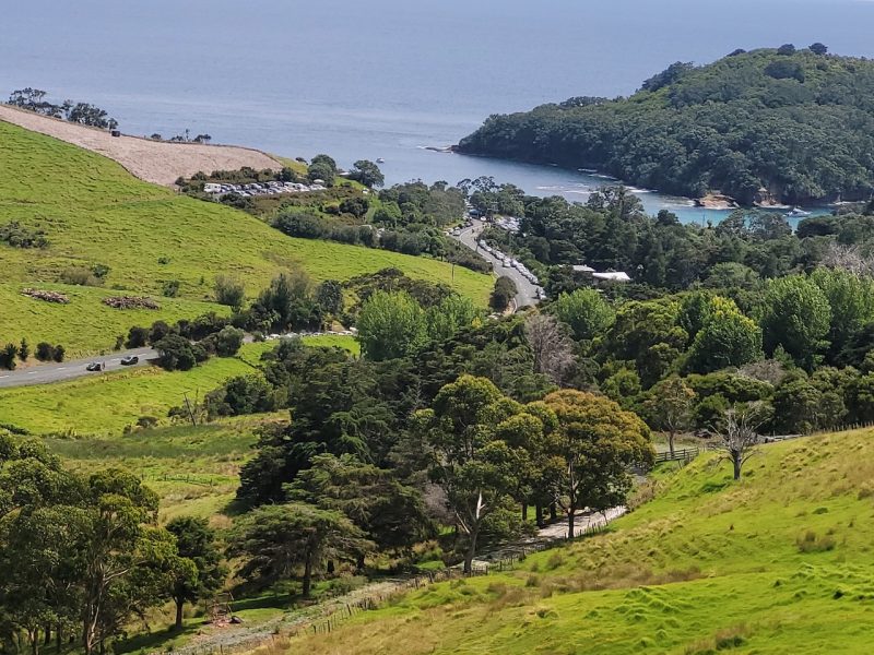DOC expands paid parking to NZ’s first marine reserve