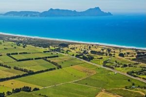 Northland NZ eyes opportunities with $3.6bn expressway