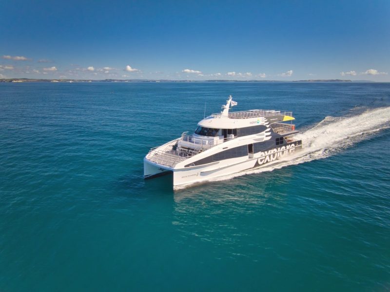Explore Group boosts Auckland–Coromandel ferry to daily a year after reviving service
