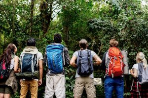 Perspectives: How Australia’s backpacker visa shake-up puts regional work at risk