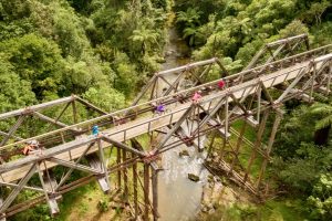 $3m boost for Northland’s Twin Coast Cycle Trail
