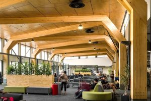 Tauranga Airport not for sale but minority stake possible – mayor