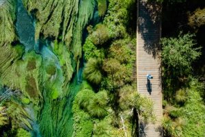 IVL funds $675k for Blue Spring visitor facilities to cope with demand