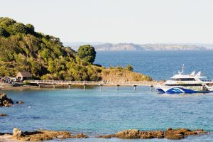 DOC seeks operator for Tiritiri Matangi ferry service