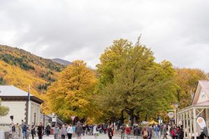 Election 2026: LGNZ backs ACT’s tourism dividend, pushes accommodation levy in manifesto