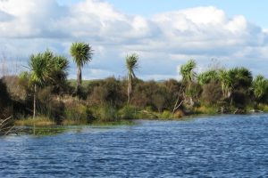 IVL provides $2.1m for Waikato conservation
