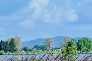 Contractor sought for lake walkway extension