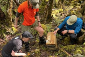 RealNZ, DOC strike three-year conservation partnership