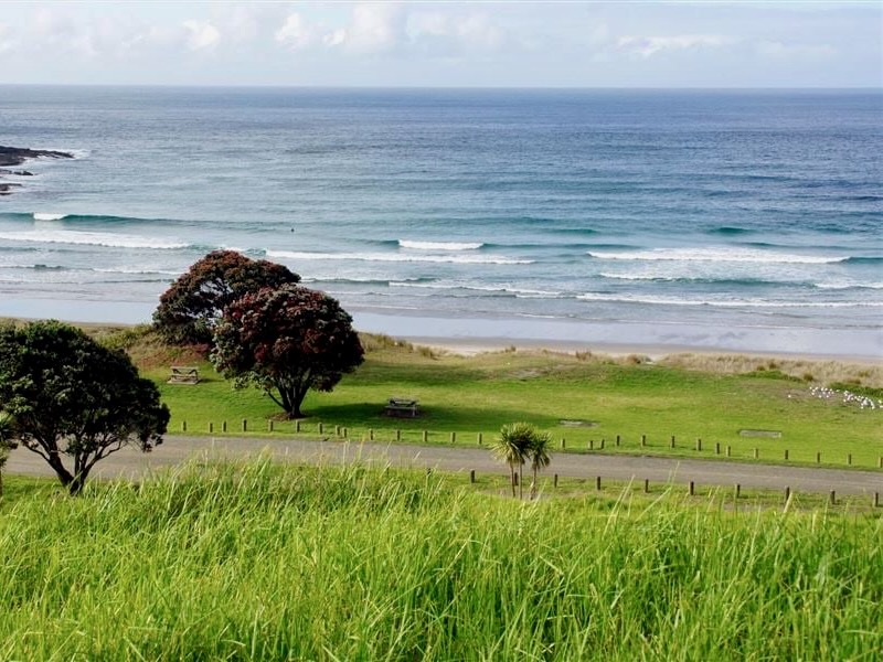 DOC seeks operators for Far North campsites 