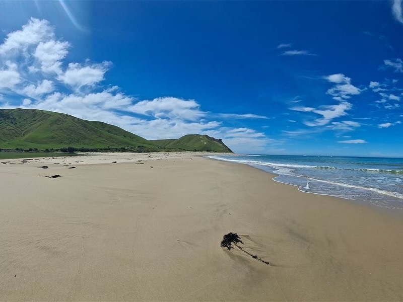 Visitor experiences part of Tairāwhiti marine reserve review