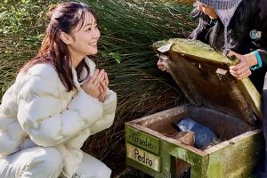 TNZ invests $1.5m in wellness campaign targeting 8.5k more Japanese arrivals