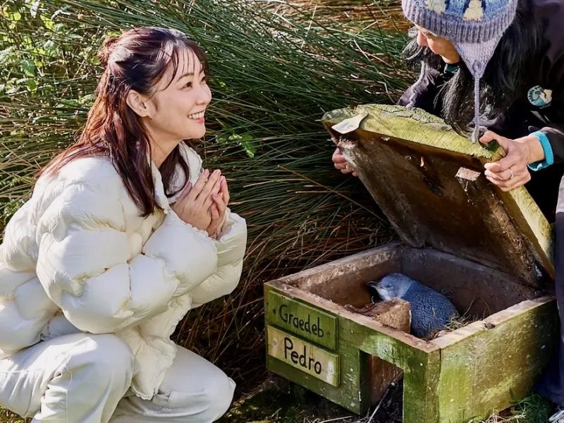 TNZ invests $1.5m in wellness campaign targeting 8.5k more Japanese arrivals