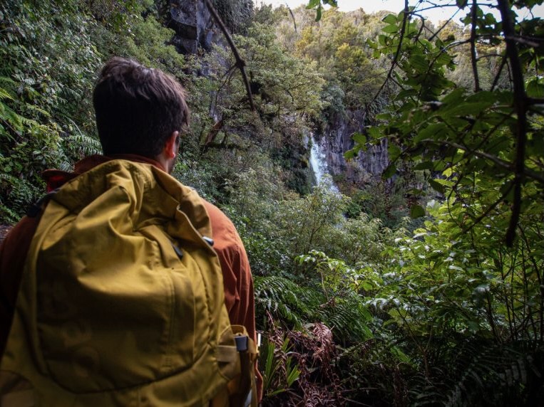 Tourism, destination development initiatives shortlisted for 2026 EDNZ awards