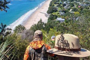 DOC progresses $121k Hahei Beach track reroute