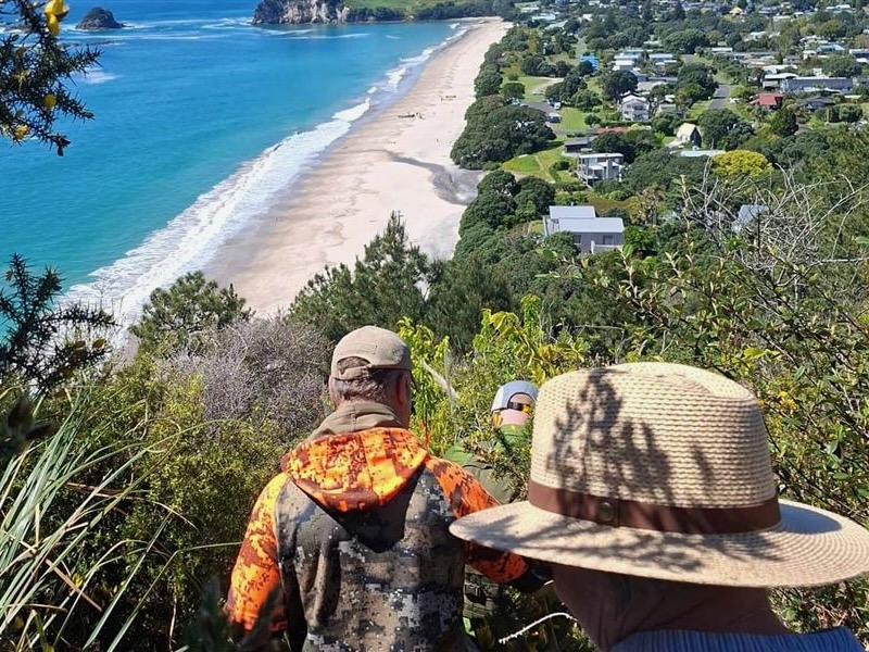 DOC progresses $121k Hahei Beach track reroute