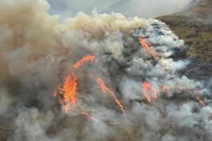 Walter Peak cleared as fire goes on but RealNZ cancels tours, aims for Thursday restart